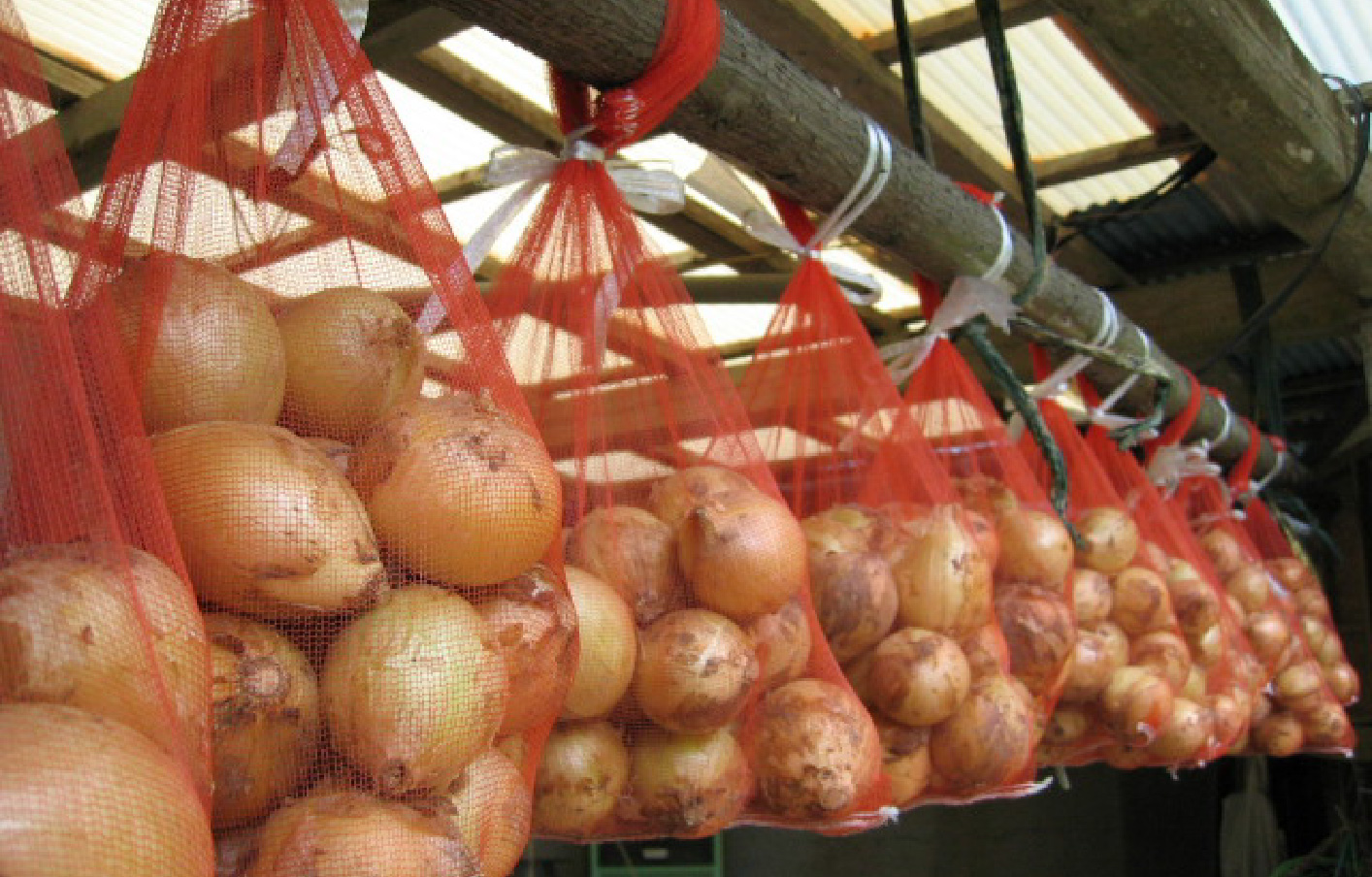 OEM案件(農業資材)